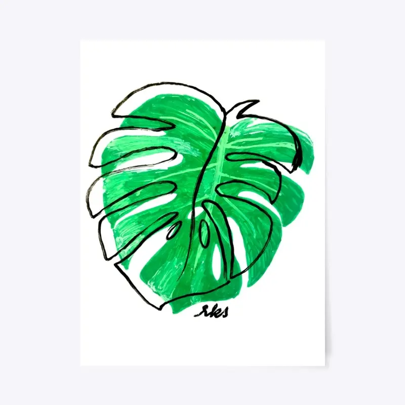 Monstera