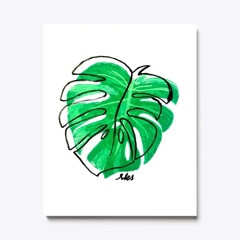 Monstera